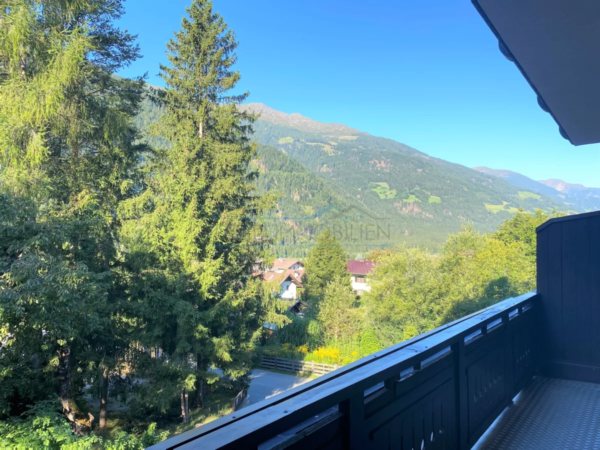 Balkonaussicht (süd)